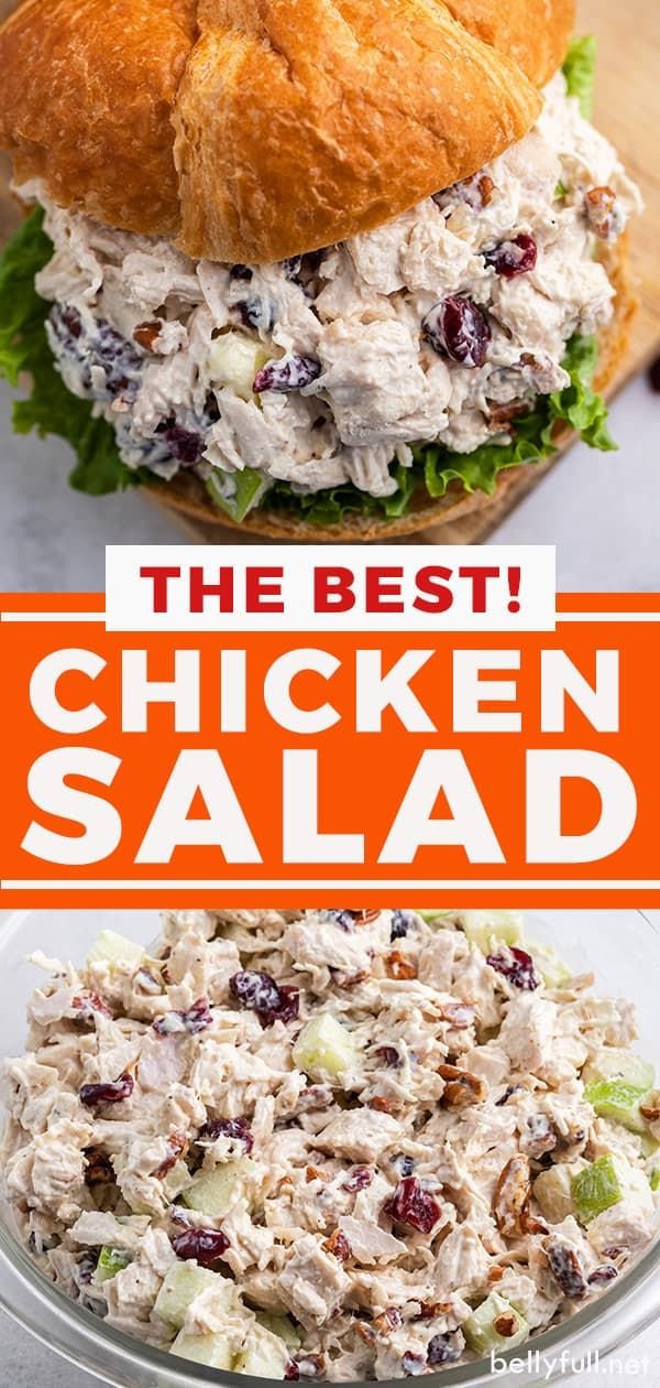 Best Chicken Salad Recipe | Winter chicken salad recipes, Holiday chicken salad, Cold chicken salad sandwich