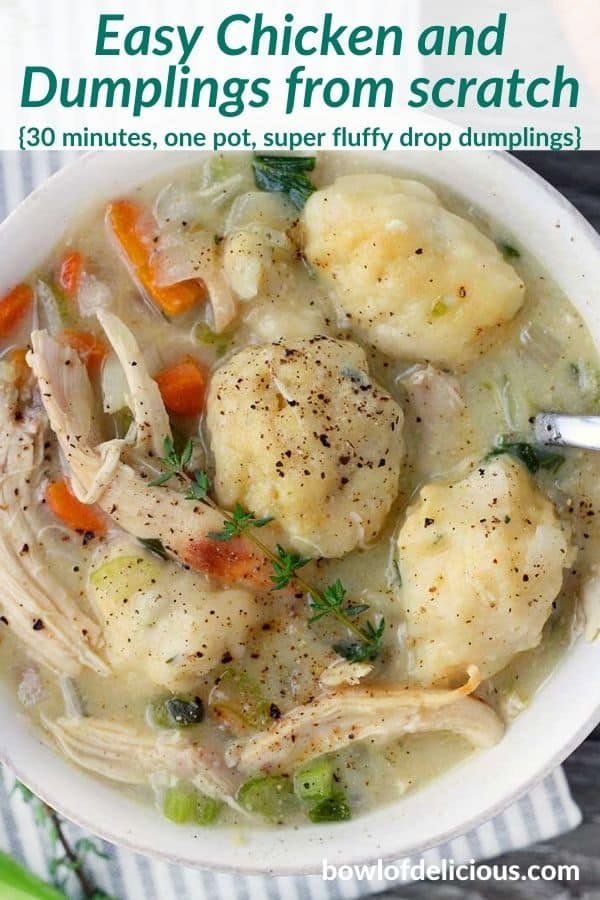Easy Chicken and Dumplings from Scratch - Bowl of Delicious