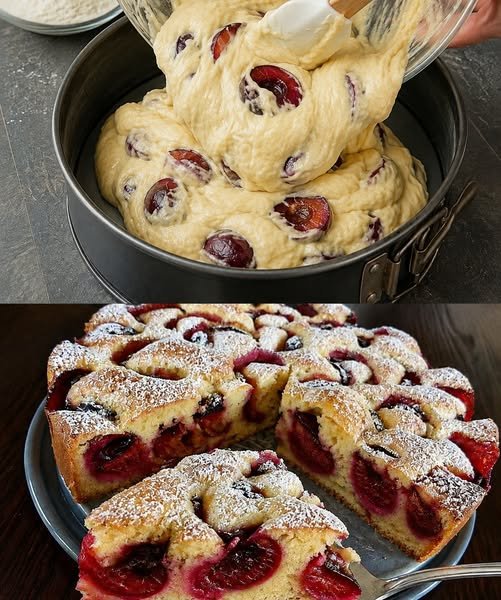 Pflaumenspongekuchen in 5 Minuten