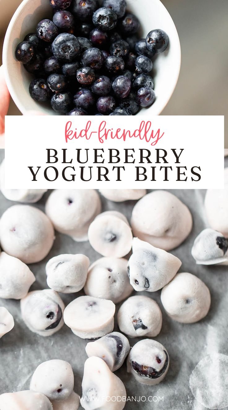 Blueberry Yogurt Bites