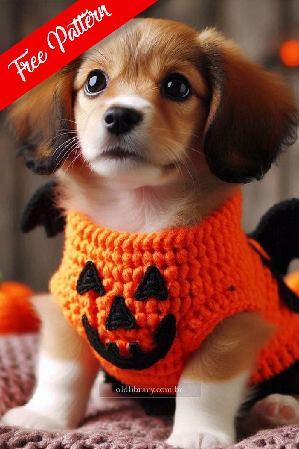 How to Crochet a Pumpkin Sweater for Your Dog