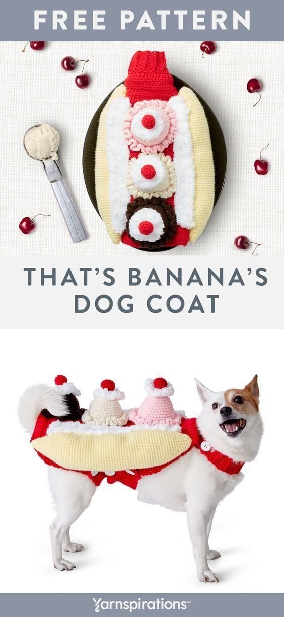 Crochet Ice Cream Sundae Dog Coat with Bernat Super Value Yarn | Banana split costume pet, Banana split dog coat, Crochet dog coat pattern