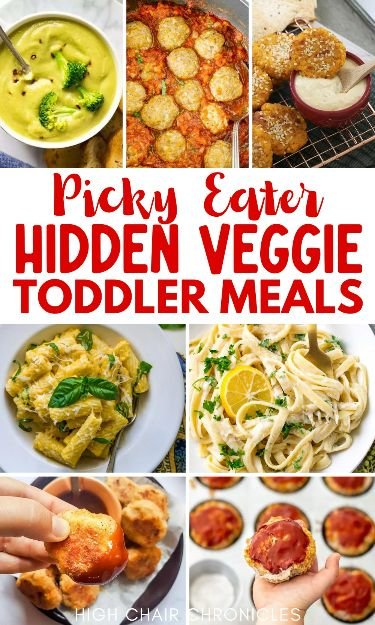 Picky Eater Hidden Veggie Toddler Meals