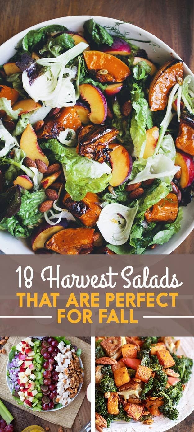18 Fall Salads You Need In Your Life Right Now | Colorful fall salad ideas, Fall dinner party salad ideas, Fall harvest salad recipes