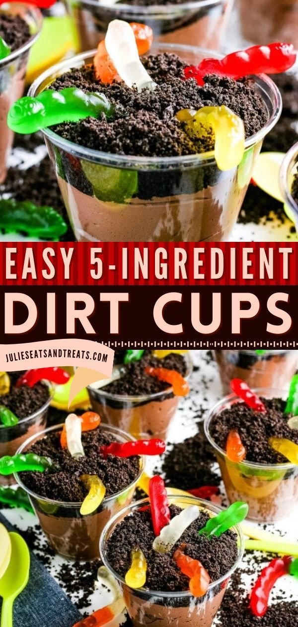 DIRT CUPS