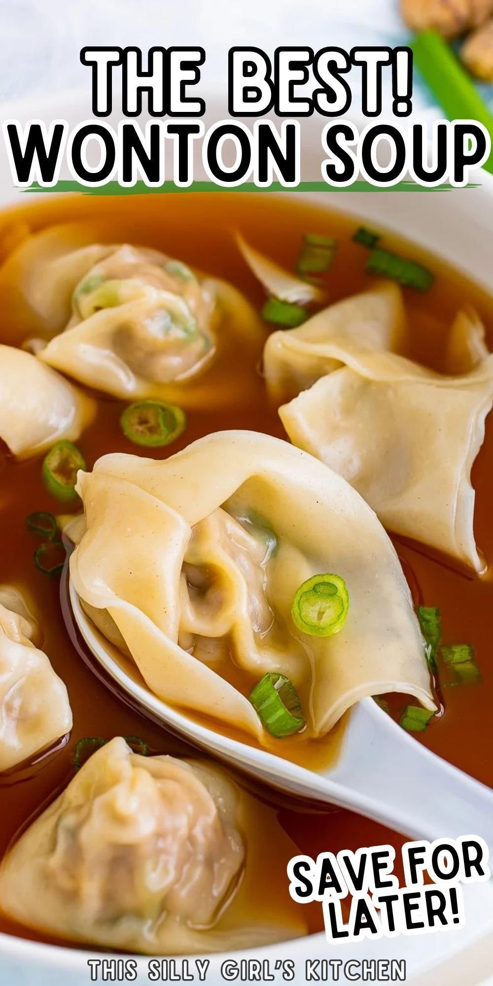 Recette de soupe de wonton facile