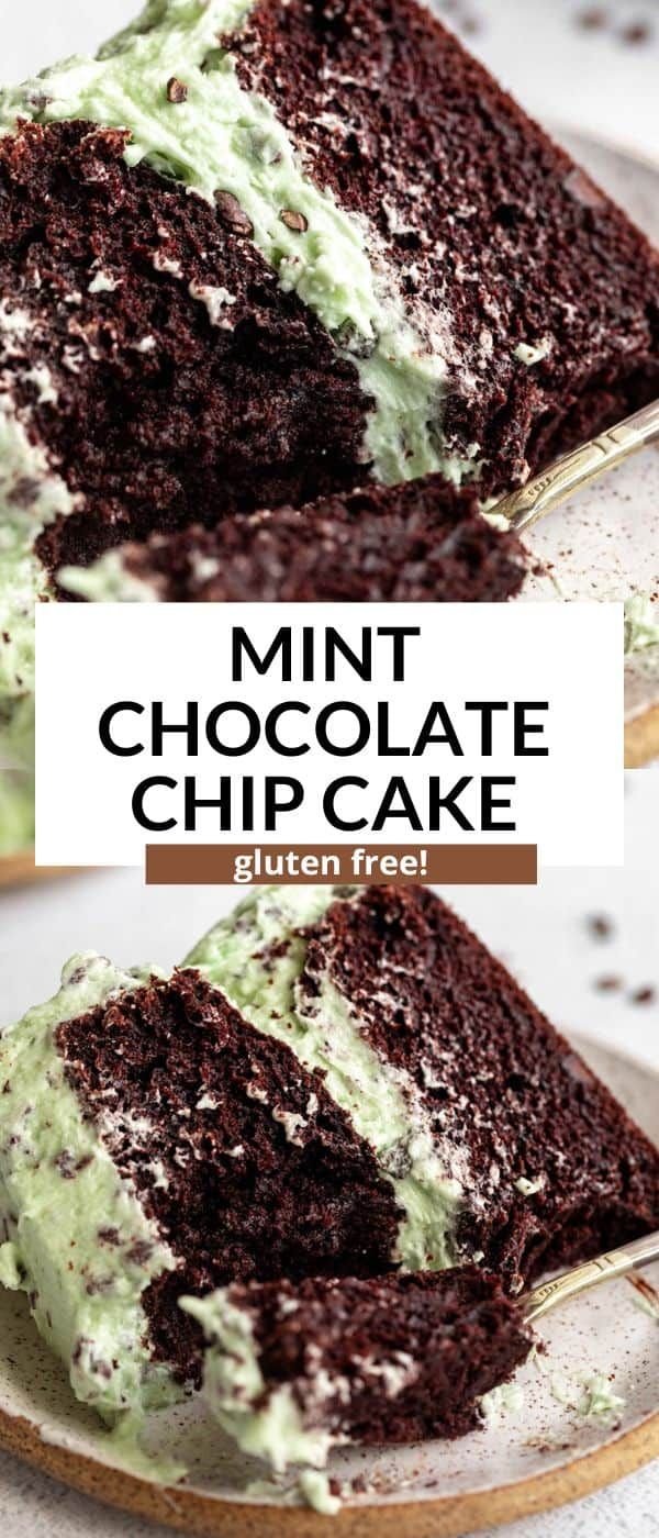 Gluten Free Mint Chocolate Chip Cake