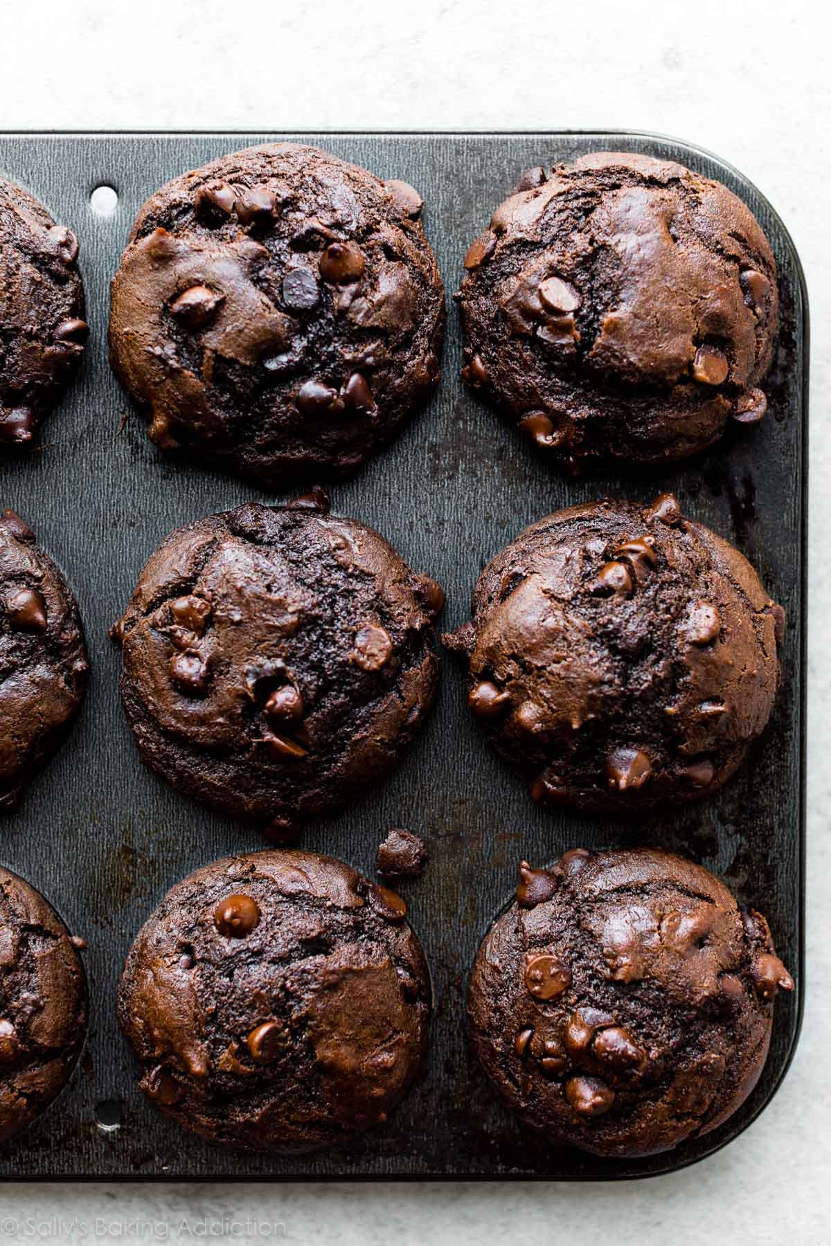Double Chocolate Chip Muffins