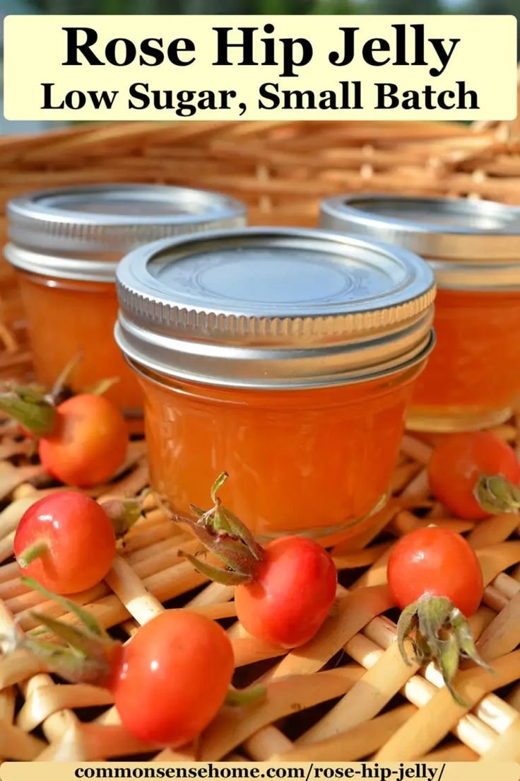 Rose Hip Jelly from Wild or Garden Roses