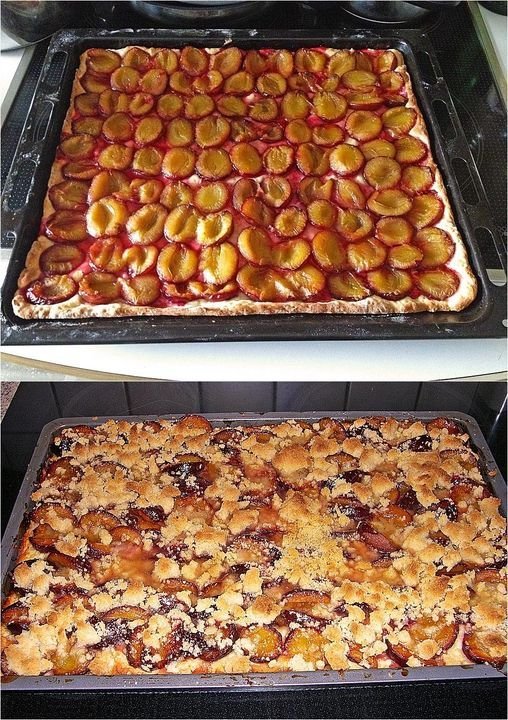 Zwetschgenkuchen vom Blech