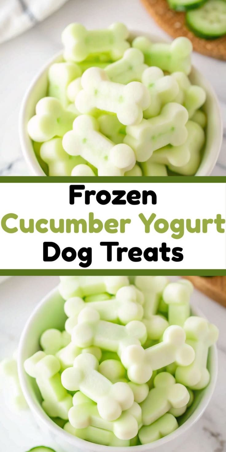 Frozen Cucumber Yogurt Dog Treats
