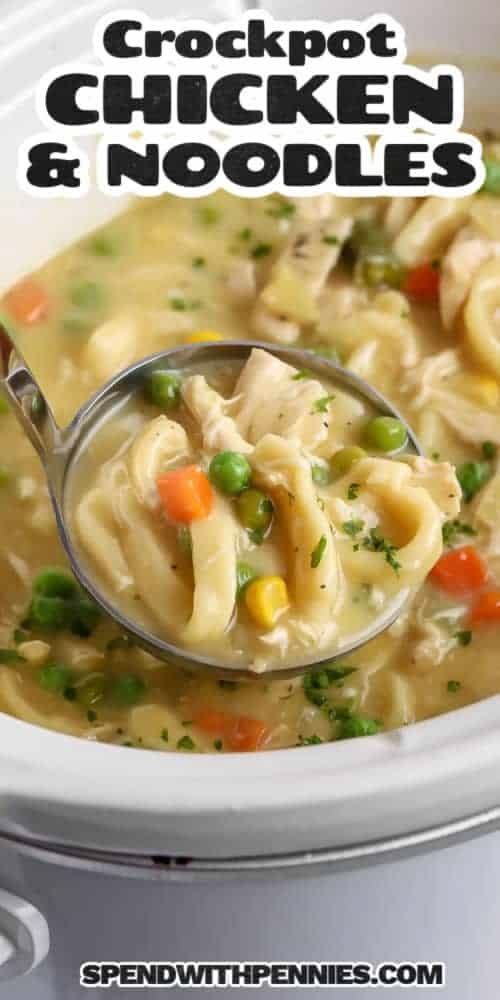 Crock Pot Chicken and Noodles Recipe | Chicken noodle soup in crockpot, Creamy crockpot chicken and noodles, Slow cooker chicken and noodles