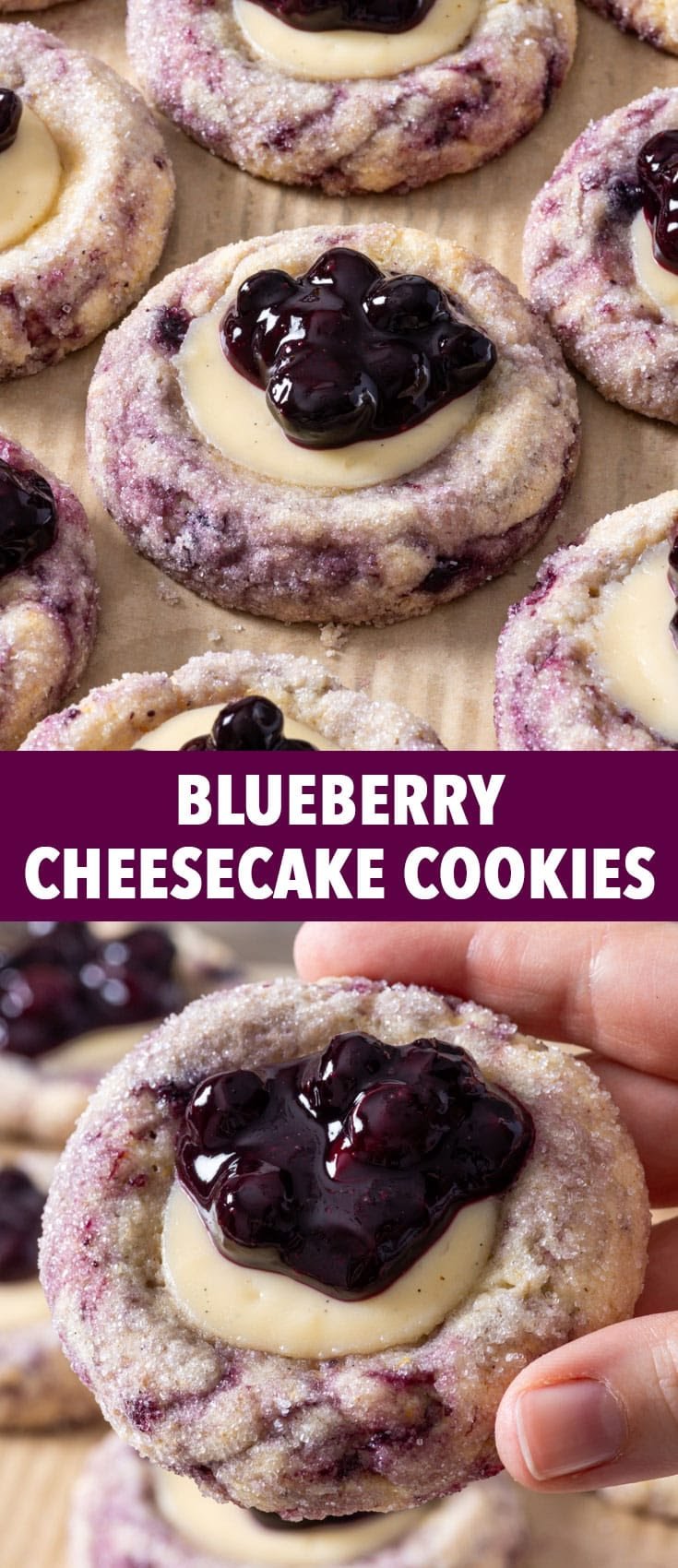 Gluten Free Blueberry Cheesecake Cookies