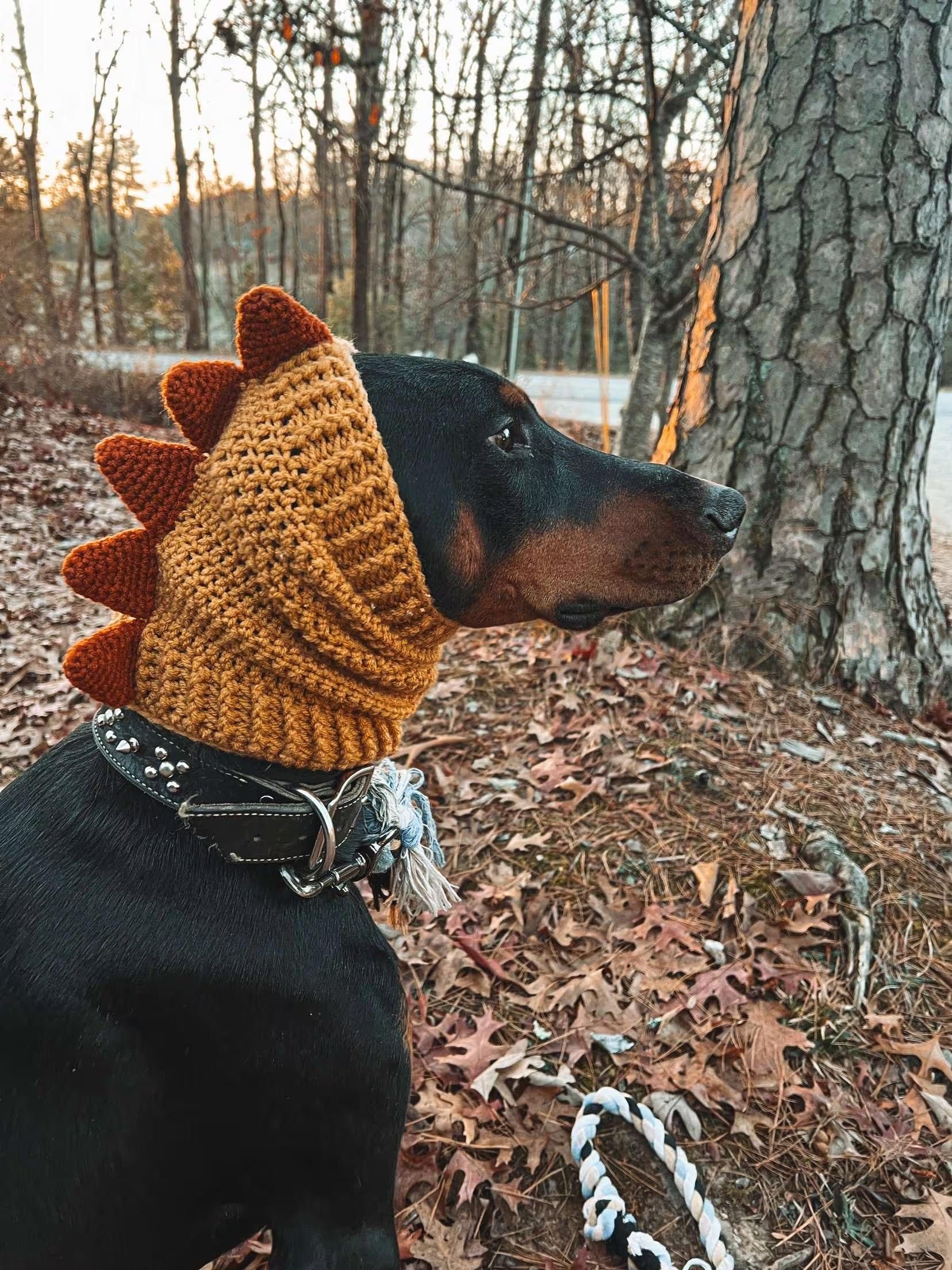 Dinosaur Dog Snood: Cute Pet Gear 6 Dinosaur Dog Snood