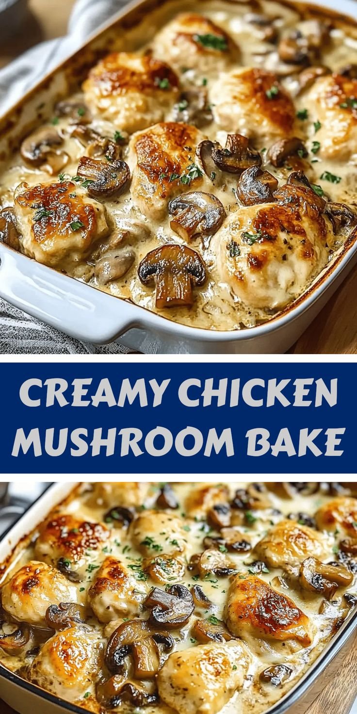 Creamy Chicken and Mushroom Bake Makes Great Dinner