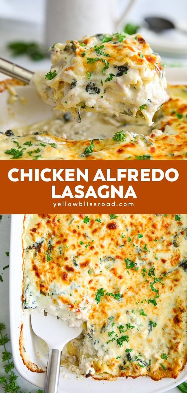 Easy Alfredo Chicken Lasagna