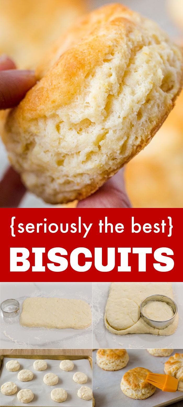 Homemade Biscuits (The Best Biscuit Recipe!)