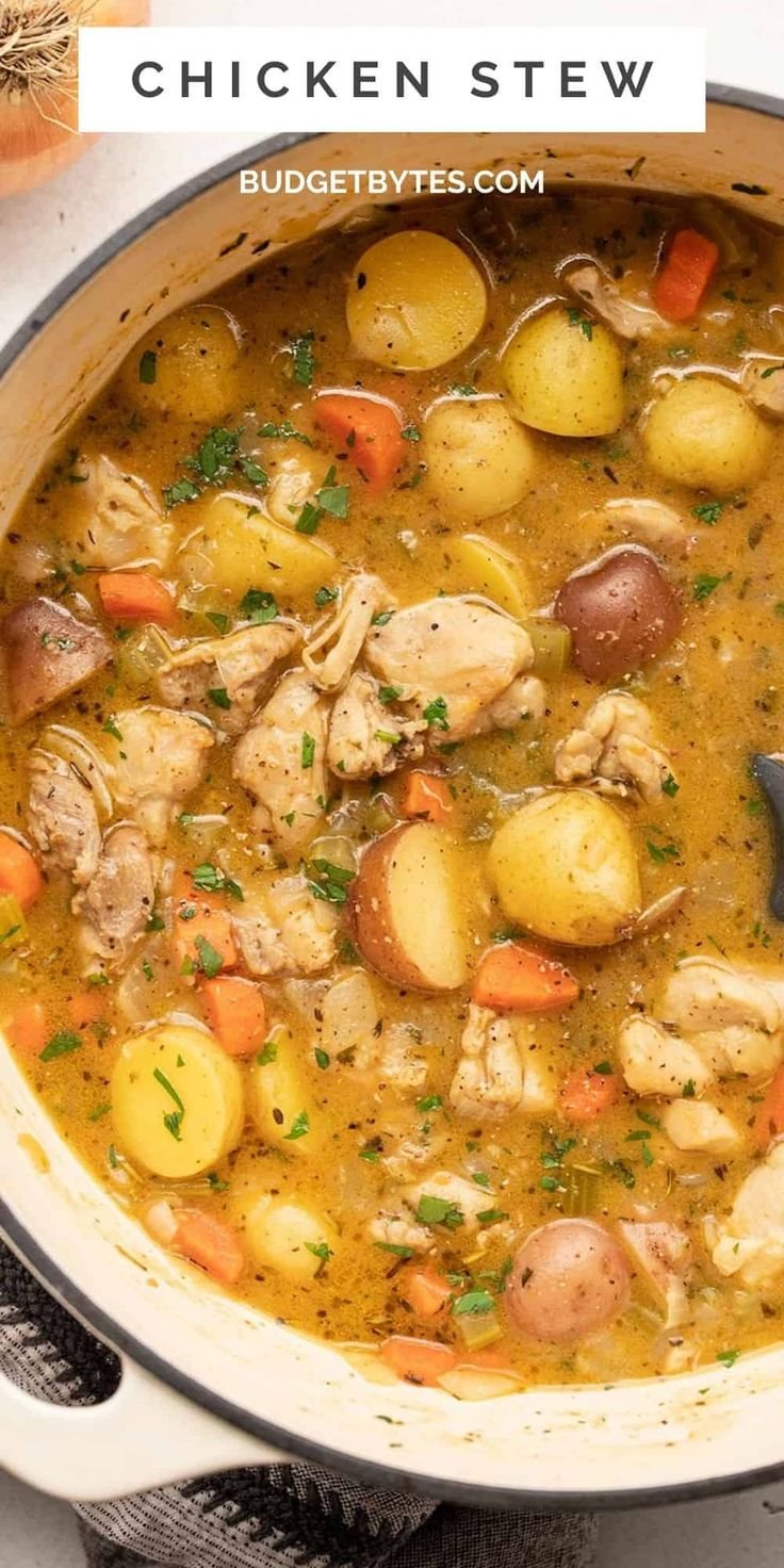 Rich and Hearty Chicken Stew | Freezer friendly soup recipes, Easy on the stomach dinners, Recipes with chicken stock