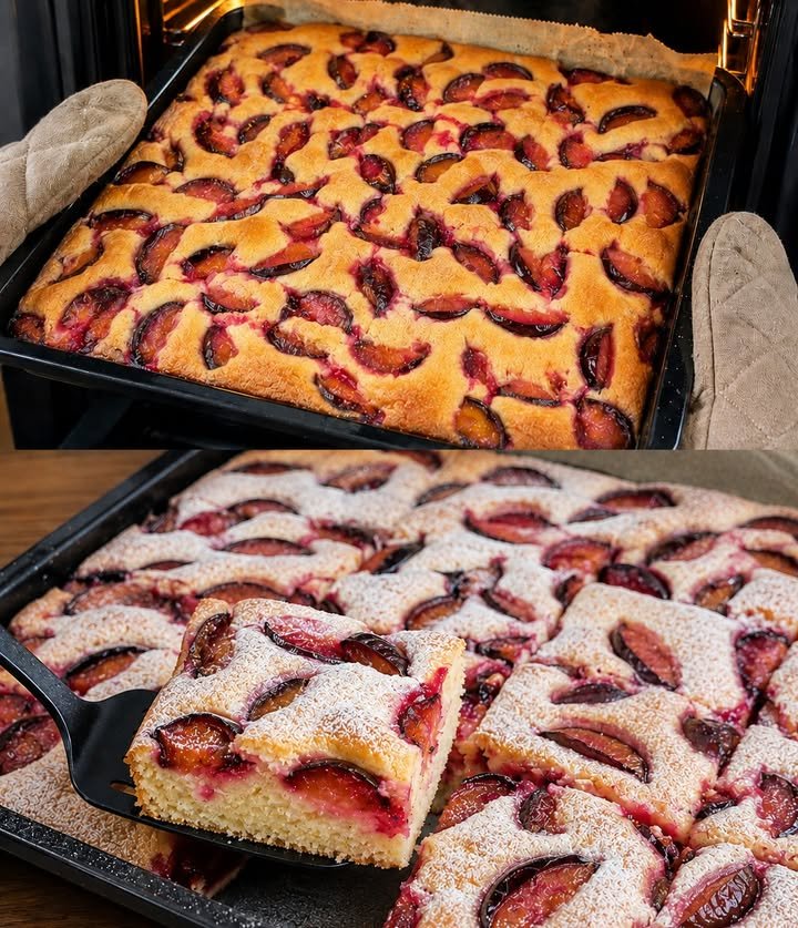 Zwetshgen Biskuitkuchen vom Blech