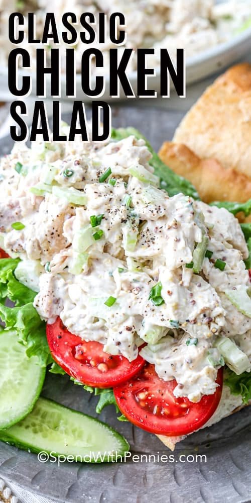 Classic Chicken Salad Recipe | Cheap chicken salad recipes, White meat chicken salad recipe, Can chicken salad recipe easy