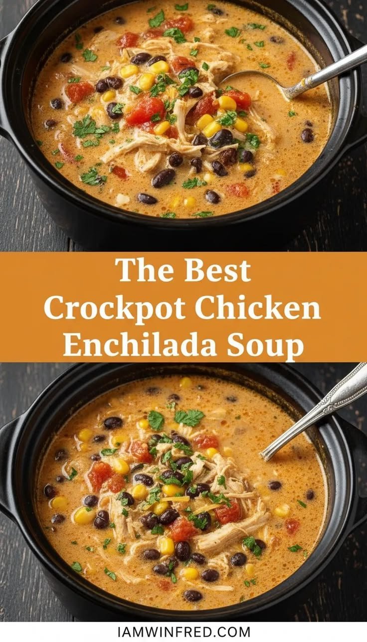 Best Crockpot Chicken Enchilada Soup Recipe - IamWinfred Blog