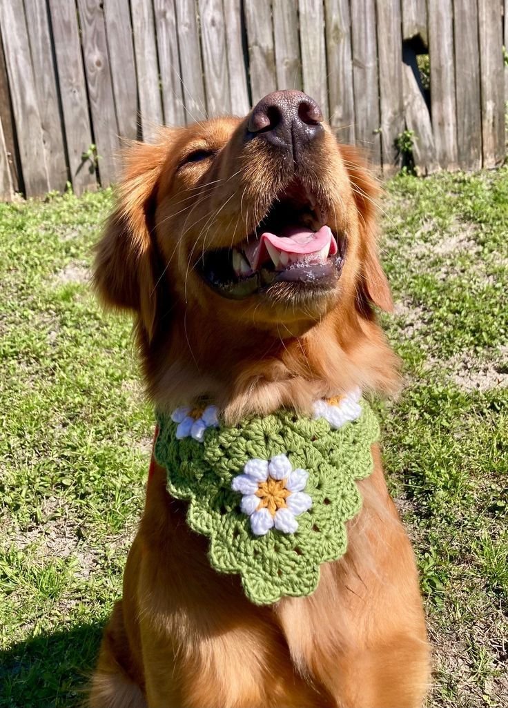 Crochet Dog Bandana