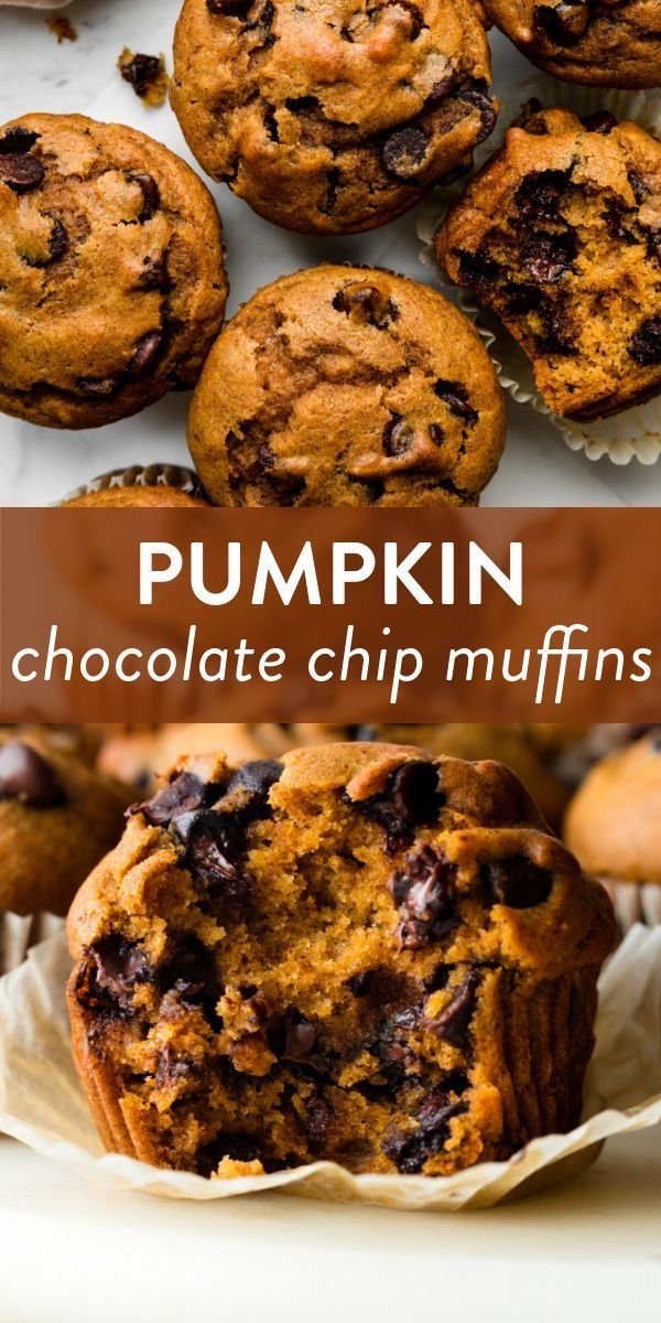 Irresistible Pumpkin Chocolate Chip Sourdough Muffins | The Best Pumpkin Muffins Ever, Recipe for Pumpkin Muffins, Tasty
