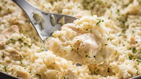 Creamy Parmesan One Pot Chicken and Rice