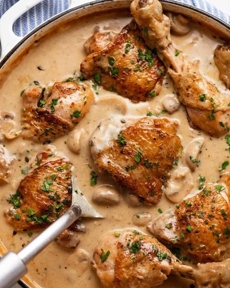 Quick Chicken Stew with Creamy White Mushroom Sauce