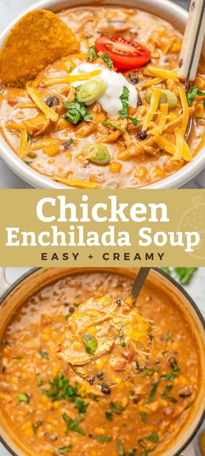 Creamy Chicken Enchilada Soup - Lemon Blossoms