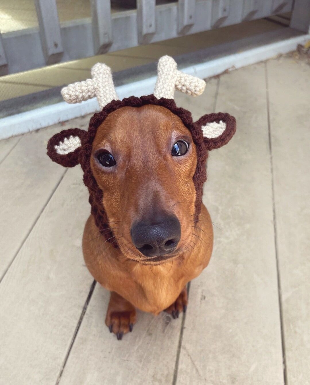 Crochet Reindeer Snood for Dogs Pattern 6 Crochet pattern #087 - Reindeer Snood, Dog Ear Warmer, Dog Hood - pdf tutorial