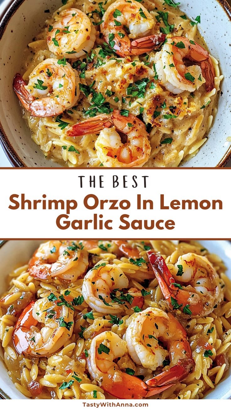 Shrimp Orzo in Lemon Garlic Sauce