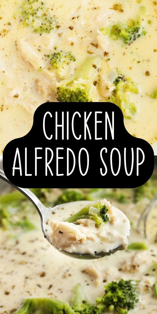 Chicken Alfredo Soup