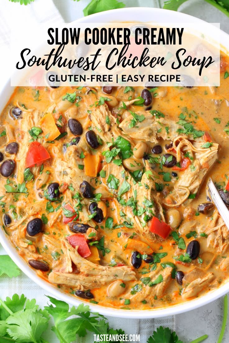 Slow Cooker Creamy Southwest Chicken Soup