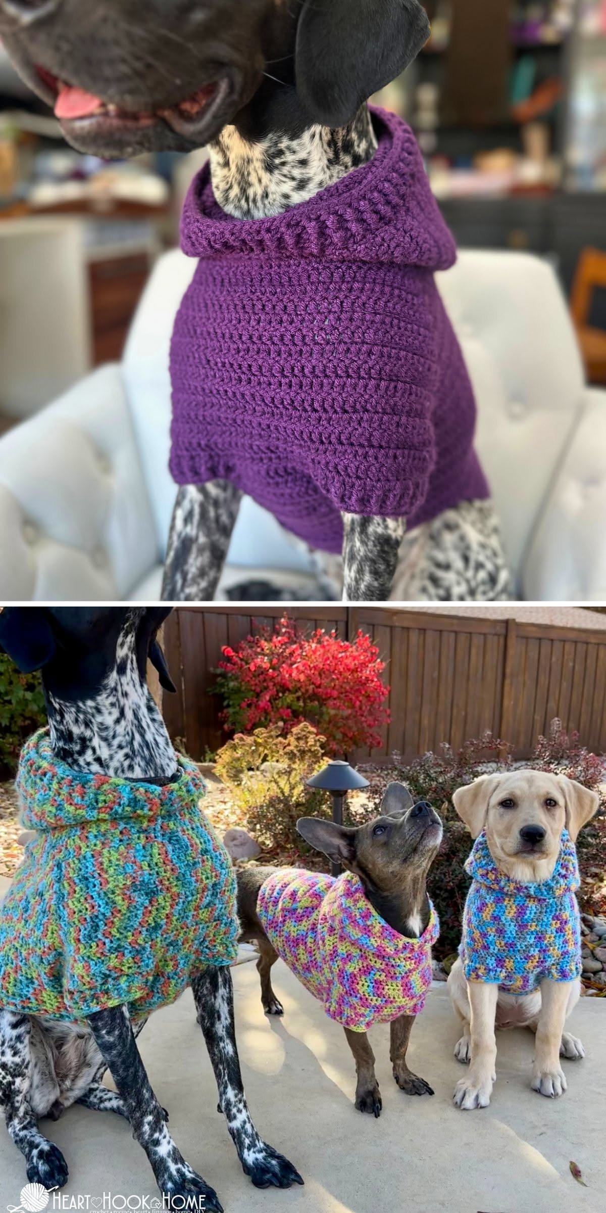 Free Dog Hoodie Crochet Pattern 6 Dog Hoodie Free Crochet Pattern