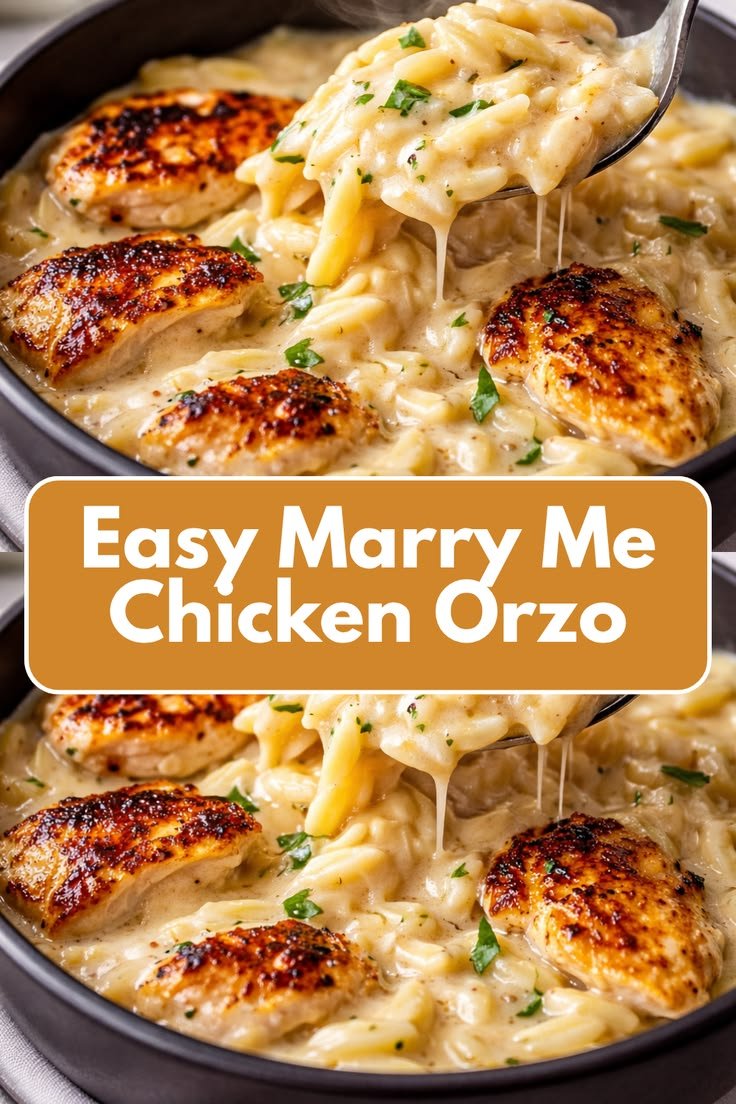 Easy Marry Me Chicken Orzo – Creamy One Pot Summer Dinner Recipe