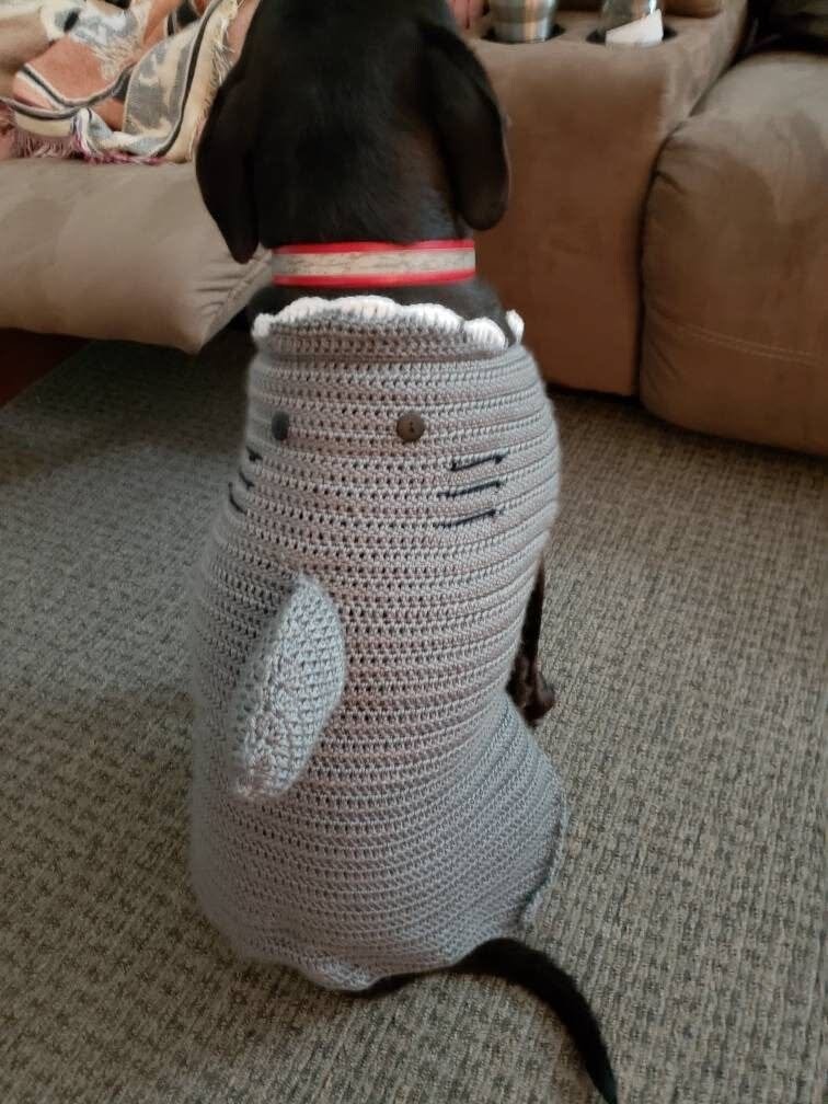 Crochet Dog Clothes Pattern for Warm Sweaters